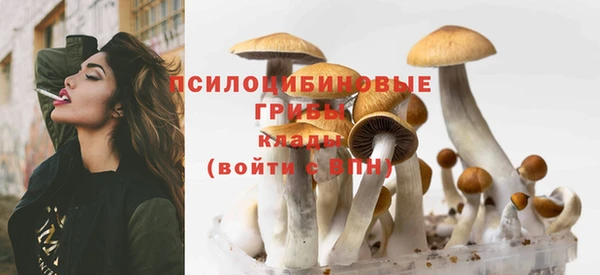 соль ск Инта