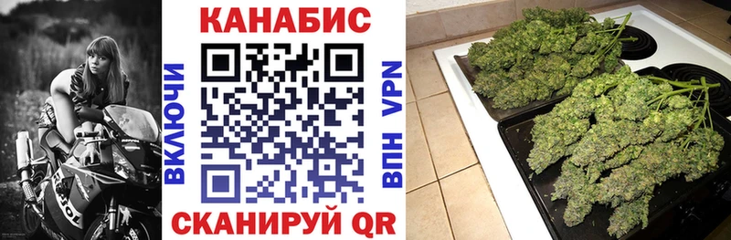 Марихуана VHQ  купить закладку  площадка формула  Курильск 